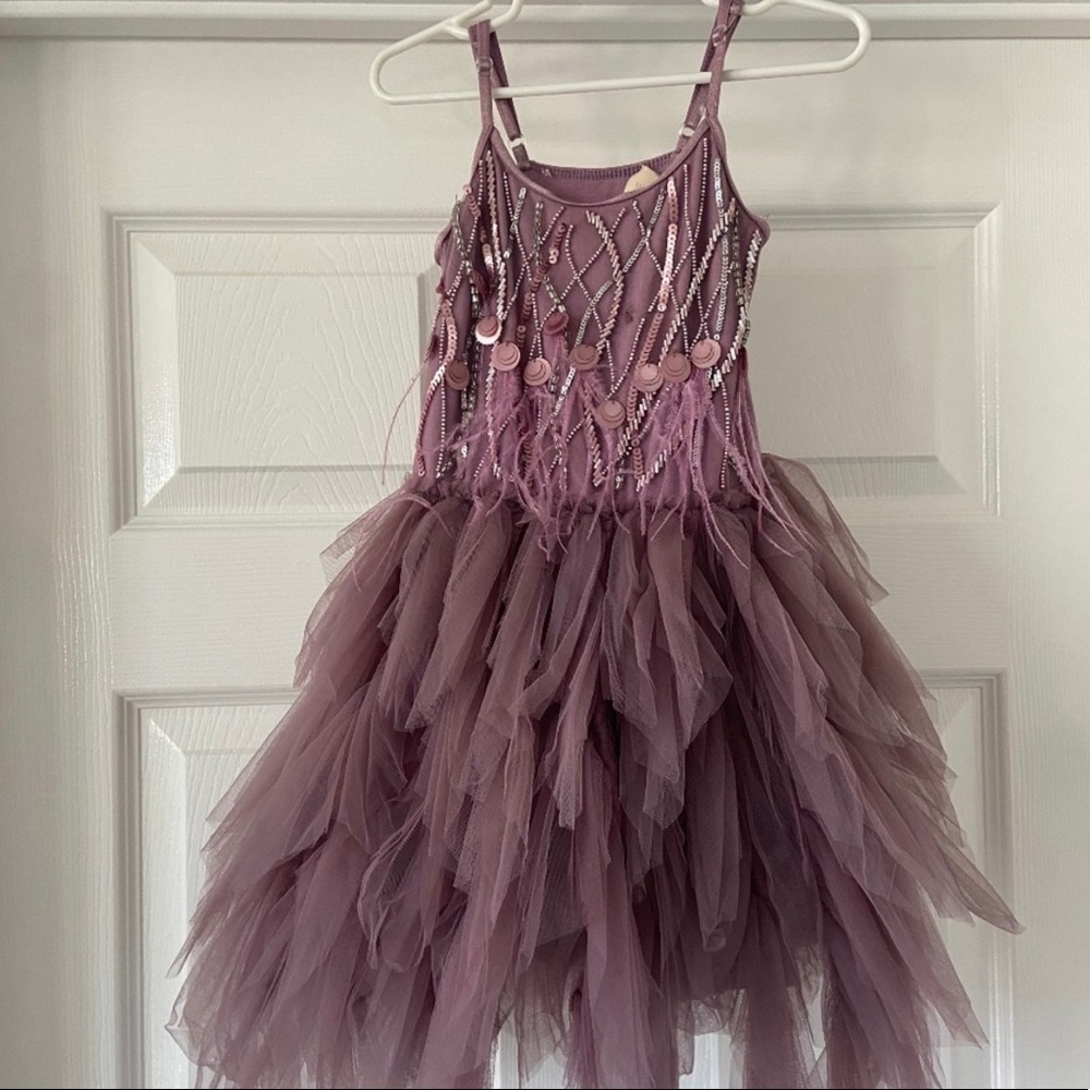 Gorgeous TTDM dress in size 4/5.